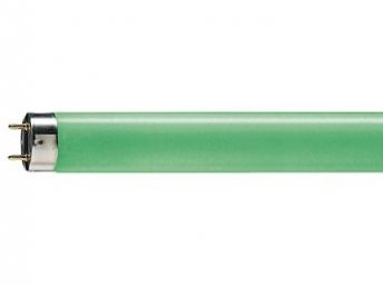 T8 18W/Green G13