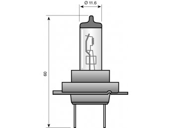 12V 100W 11.6x60mm