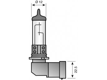 12V 100W 12x22.5mm